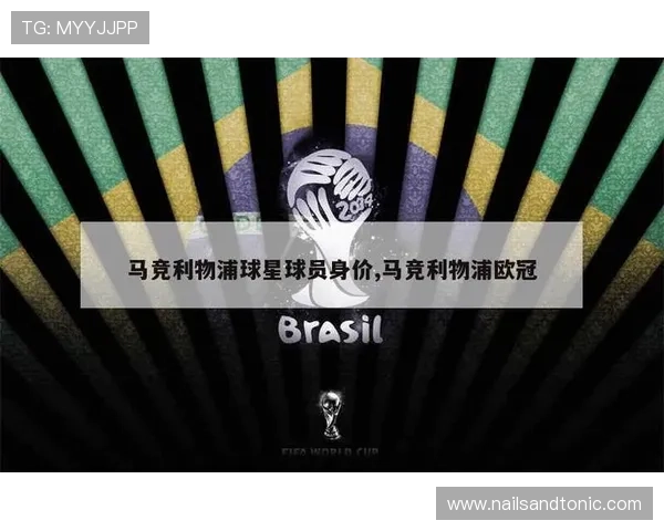 专业分析含球员身价的足球网站有哪些实用的功能和使用技巧详解